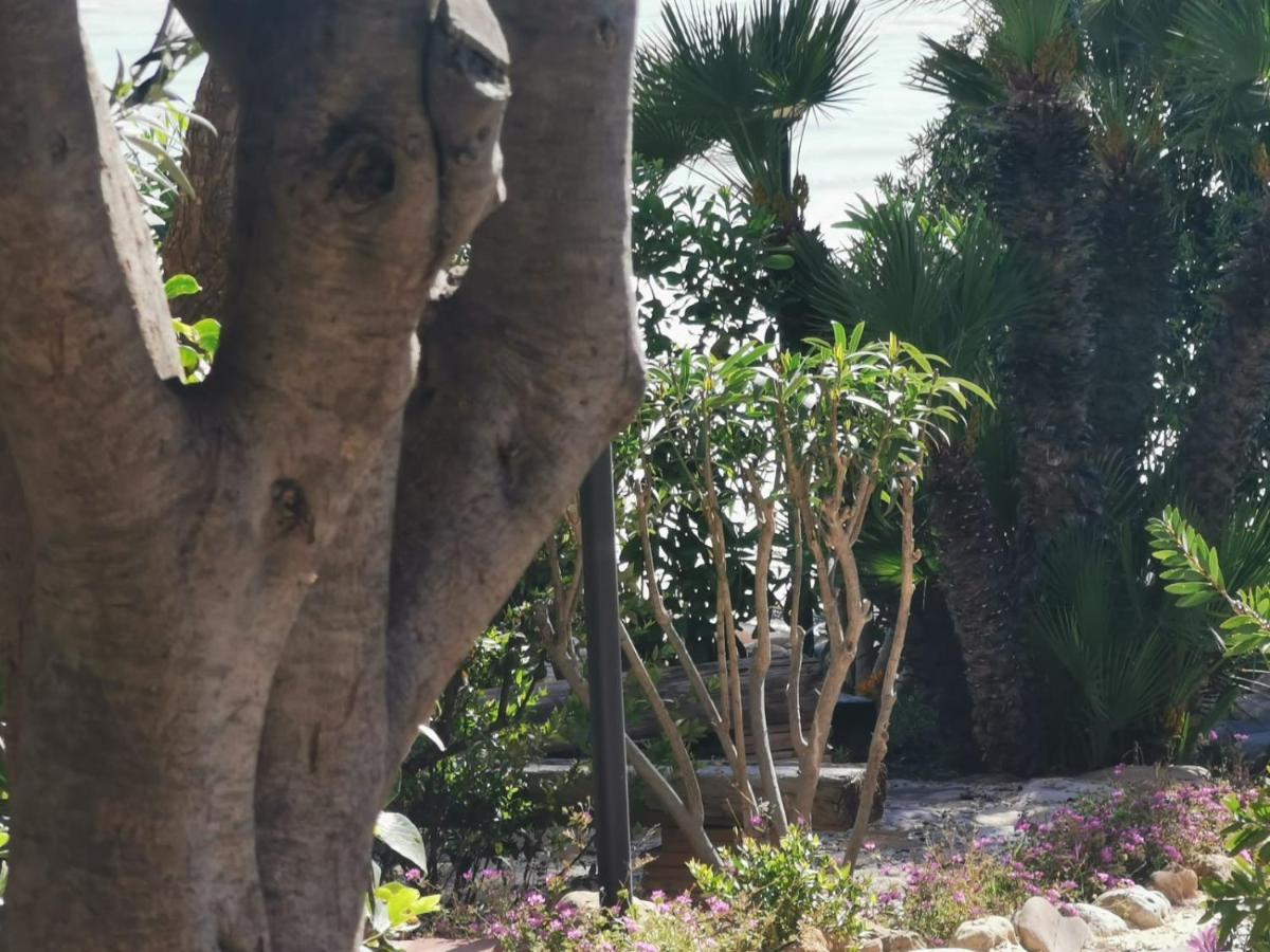 Giardino Sul Mare Lejlighed Realmonte Eksteriør billede